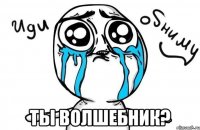  ты волшебник?