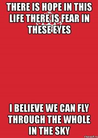 there is hope in this life there is fear in these eyes i believe we can fly through the whole in the sky