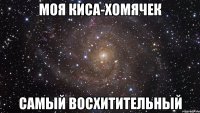 моя киса-хомячек самый восхитительный