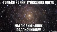 только йорки! (yorkshire only!) мы любим наших подписчиков!!!