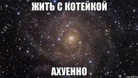 жить с котейкой ахуенно