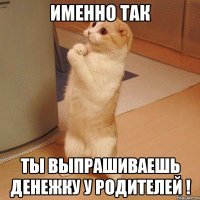 именно так ты выпрашиваешь денежку у родителей !