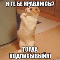 я те бе нравлюсь? тогда подписывыйя!