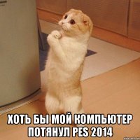  хоть бы мой компьютер потянул pes 2014