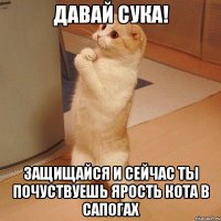 давай сука! защищайся и сейчас ты почуствуешь ярость кота в сапогах