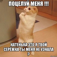 поцелуй меня !!! катенька это я твой серёжка ты меня не узнала ?