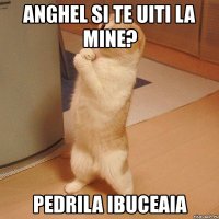 anghel si te uiti la mine? pedrila ibuceaia