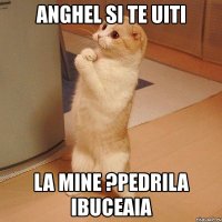 anghel si te uiti la mine ?pedrila ibuceaia