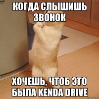 когда слышишь звонок хочешь, чтоб это была kenda drive