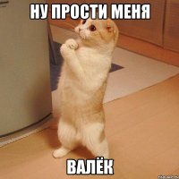 ну прости меня валёк