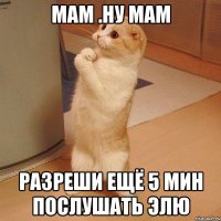 мам .ну мам разреши ещё 5 мин послушать элю