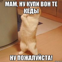 мам, ну купи вон те кеды ну пожалуйста!