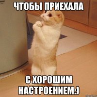 чтобы приехала с хорошим настроением:)