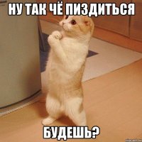 ну так чё пиздиться будешь?