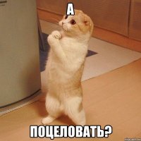 а поцеловать?