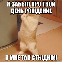 я забыл про твой день рождение и мне так стыдно!!