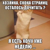 хозяйка, скока страниц осталось дочитать ? я есть хочу уже неделю ...