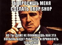 ты просишь меня сделать drop shop но ты даже не понимаешь как эта поебень будет работать и приносить тебе денег