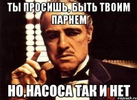 ты просишь, быть твоим парнем но,насоса так и нет