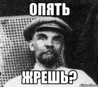 опять жрешь?