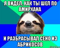 я видел, как ты шел по амирхана и разбрасывал сено из абрикосов