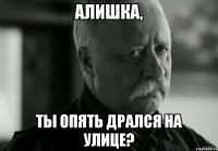 алишка, ты опять дрался на улице?