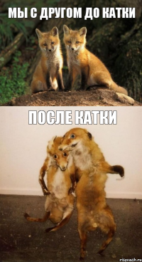 мы с другом до катки после катки