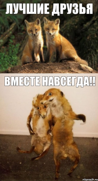 Лучшие друзья Вместе навсегда!!