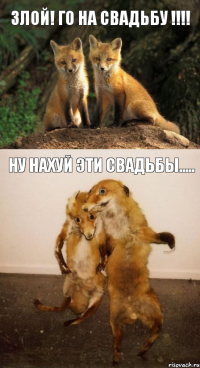 Злой! Го на свадьбу !!! Ну нахуй эти свадьбы.....