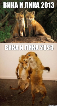 ВИКА И ЛИКА 2013 ВИКА И ЛИКА 2023