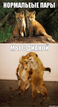 нормальеые пары мы с дианой