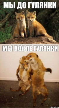 мы до гулянки мы после гулянки