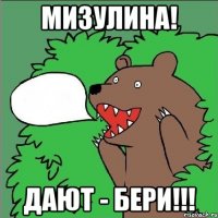 мизулина! дают - бери!!!