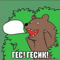  гес! гесик!