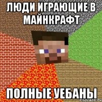 люди играющие в майнкрафт полные уебаны