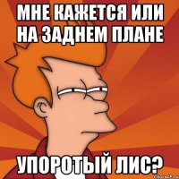 мне кажется или на заднем плане упоротый лис?