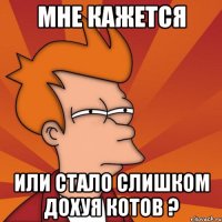 мне кажется или стало слишком дохуя котов ?