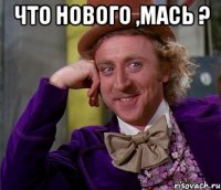 что нового ,мась ? 