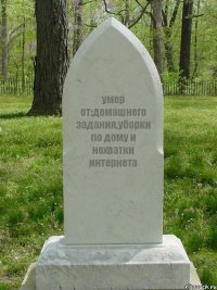 умер от:домашнего задания,уборки по дому и нехватки интернета