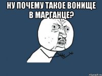 ну почему такое вонище в марганце? 