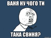 ваня ну чого ти така свиня?