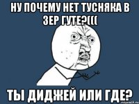 ну почему нет тусняка в зер гуте?((( ты диджей или где?