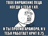 твое виражение леца когда у тебя 1 хп. и ты против арамора. и у тебя работает крит 8.75