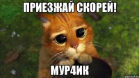 приезжай скорей! мур4ик