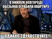 в нижнем новгороде обезьяна ограбила квартиру. однако здравствуйте