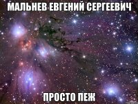 мальнев евгений сергеевич просто пеж