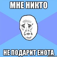 мне никто не подарит енота