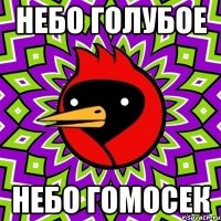 небо голубое небо гомосек