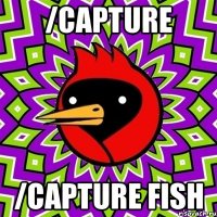 /capture /capture fish