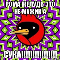 рома желудь это не мужик а сука!!!